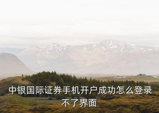  中銀國(guó)際證券手機(jī)開(kāi)戶成功怎么登錄不了界面