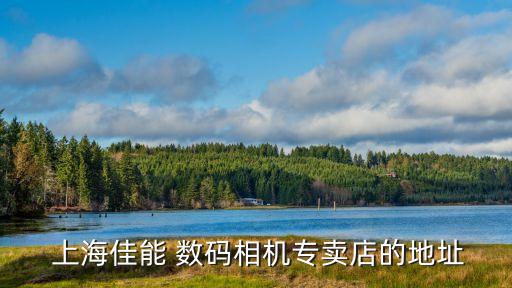  上海佳能 數(shù)碼相機專賣店的地址