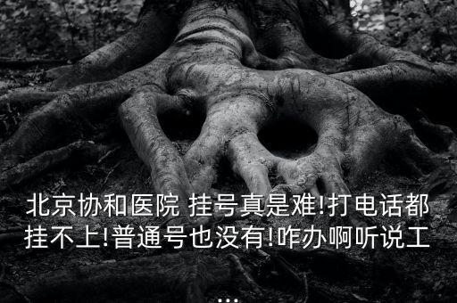北京協(xié)和醫(yī)院 掛號真是難!打電話都掛不上!普通號也沒有!咋辦啊聽說工...