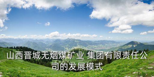 山西晉城無煙煤礦業(yè) 集團(tuán)有限責(zé)任公司的發(fā)展模式