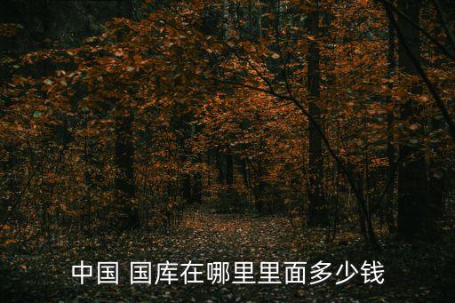 中國(guó) 國(guó)庫(kù)在哪里里面多少錢(qián)