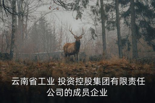  云南省工業(yè) 投資控股集團有限責(zé)任公司的成員企業(yè)