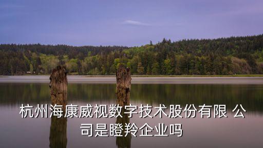  杭州?？低晹?shù)字技術(shù)股份有限 公司是瞪羚企業(yè)嗎