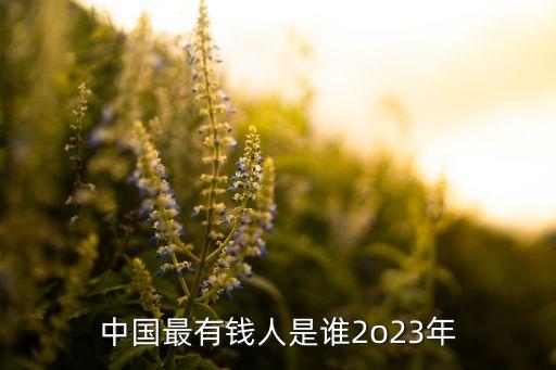 中國(guó)最富的人排名