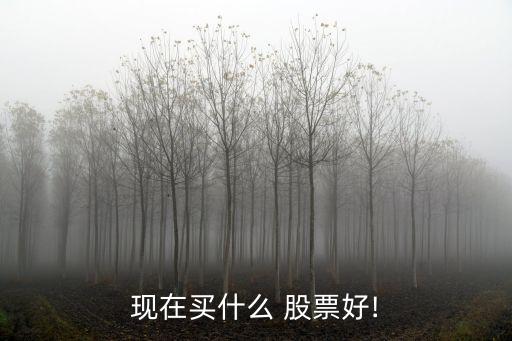 現(xiàn)在買什么 股票好!