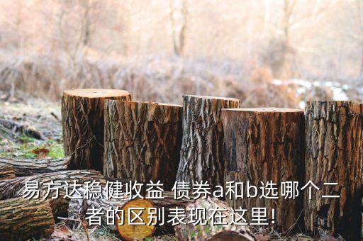 易達(dá)方投資級(jí)信用債券a