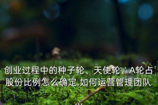 創(chuàng)業(yè)過(guò)程中的種子輪、天使輪、A輪占股份比例怎么確定,如何運(yùn)營(yíng)管理團(tuán)隊(duì)...