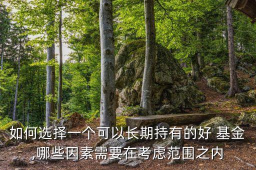 如何選擇一個可以長期持有的好 基金,哪些因素需要在考慮范圍之內