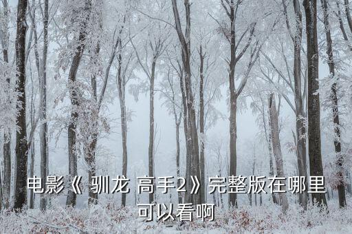 夢工廠動畫股票馴龍高手2大跌