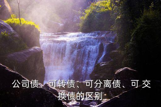  公司債、可轉(zhuǎn)債、可分離債、可 交換債的區(qū)別