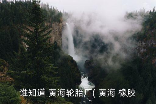 誰(shuí)知道 黃海輪胎廠( 黃海 橡膠
