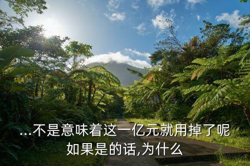 ...不是意味著這一億元就用掉了呢如果是的話(huà),為什么