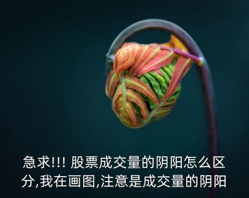 股票9陽(yáng),股票上海新陽(yáng)價(jià)格