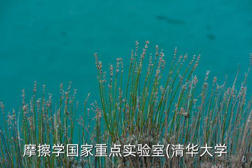 摩擦學(xué)國(guó)家重點(diǎn)實(shí)驗(yàn)室(清華大學(xué)