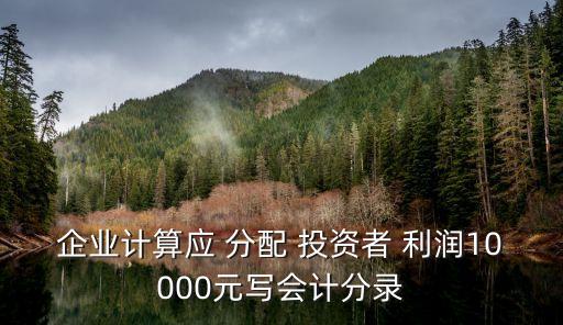 企業(yè)計算應(yīng) 分配 投資者 利潤10000元寫會計分錄