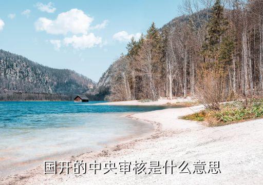 國開的中央審核是什么意思