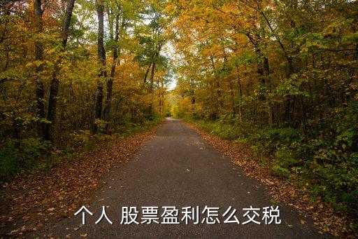 個人 股票盈利怎么交稅