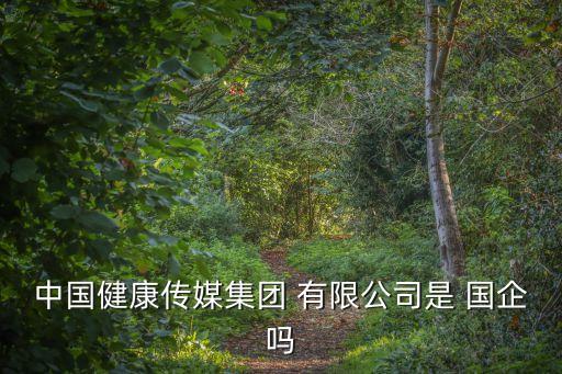 中國健康傳媒集團 有限公司是 國企嗎