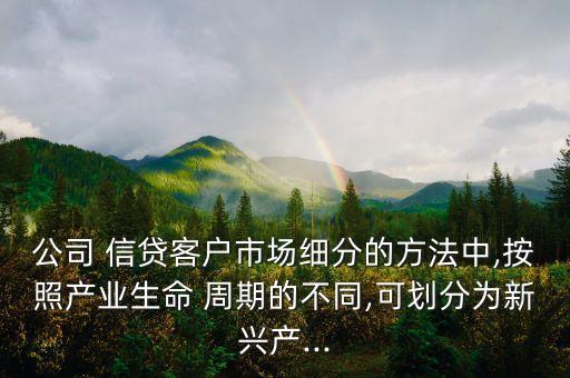 公司 信貸客戶市場細分的方法中,按照產業(yè)生命 周期的不同,可劃分為新興產...