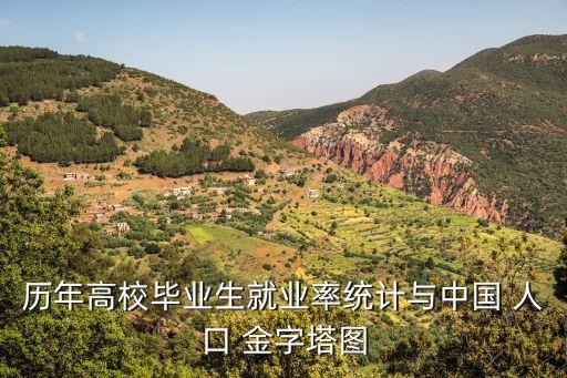 歷年高校畢業(yè)生就業(yè)率統(tǒng)計(jì)與中國 人口 金字塔圖