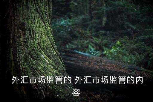  外匯市場監(jiān)管的 外匯市場監(jiān)管的內(nèi)容