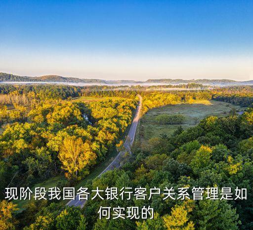 現(xiàn)階段我國(guó)各大銀行客戶(hù)關(guān)系管理是如何實(shí)現(xiàn)的