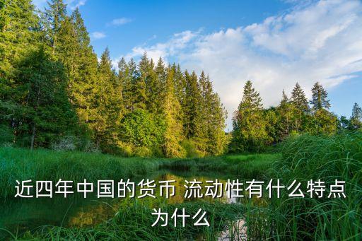 近四年中國的貨幣 流動(dòng)性有什么特點(diǎn)為什么