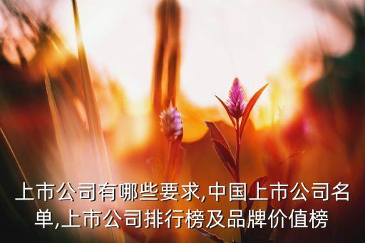 中電傳媒股份有限公司遼寧分公司,遼寧北方報業(yè)傳媒股份有限公司