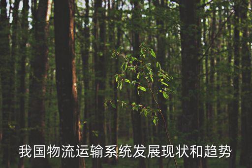 我國物流運(yùn)輸系統(tǒng)發(fā)展現(xiàn)狀和趨勢(shì)