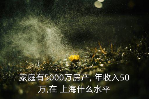 家庭有5000萬房產, 年收入50萬,在 上海什么水平