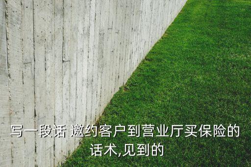 寫一段話 邀約客戶到營業(yè)廳買保險的 話術,見到的