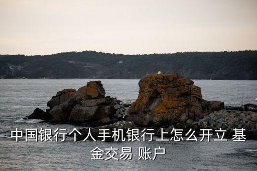 個(gè)人賬戶(hù)基金,城鎮(zhèn)職工基本醫(yī)療保險(xiǎn)個(gè)人賬戶(hù)基金