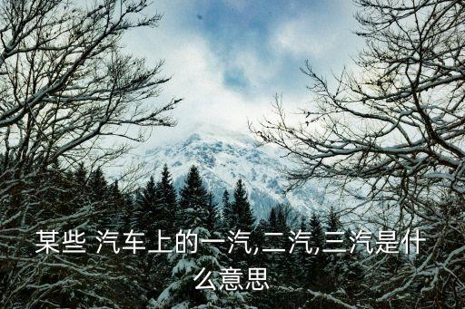 某些 汽車(chē)上的一汽,二汽,三汽是什么意思