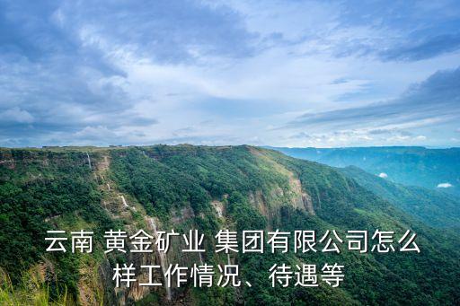  云南 黃金礦業(yè) 集團(tuán)有限公司怎么樣工作情況、待遇等