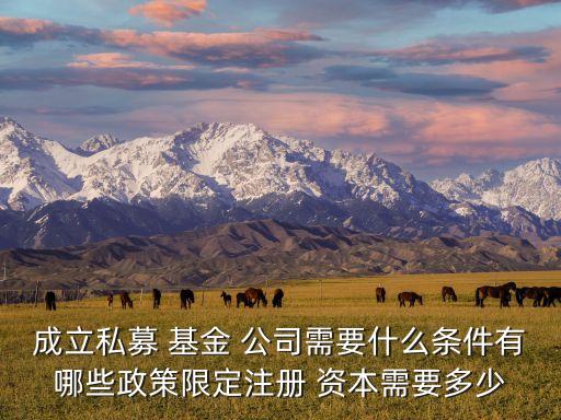 成立私募 基金 公司需要什么條件有哪些政策限定注冊(cè) 資本需要多少