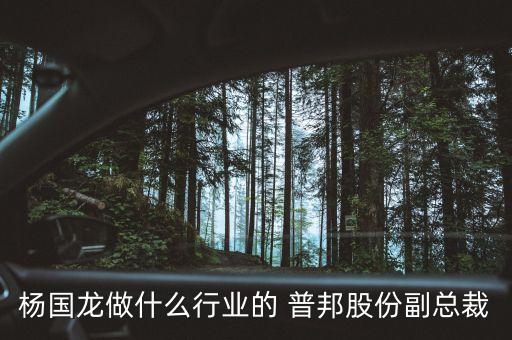 楊國龍做什么行業(yè)的 普邦股份副總裁