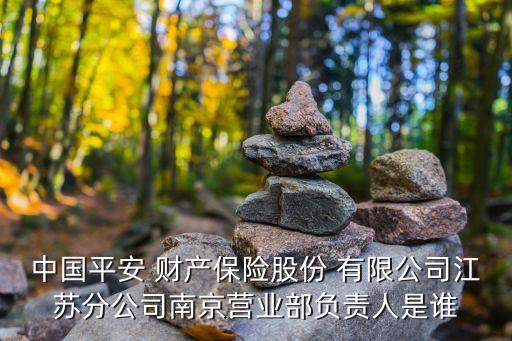 中國平安 財(cái)產(chǎn)保險(xiǎn)股份 有限公司江蘇分公司南京營業(yè)部負(fù)責(zé)人是誰