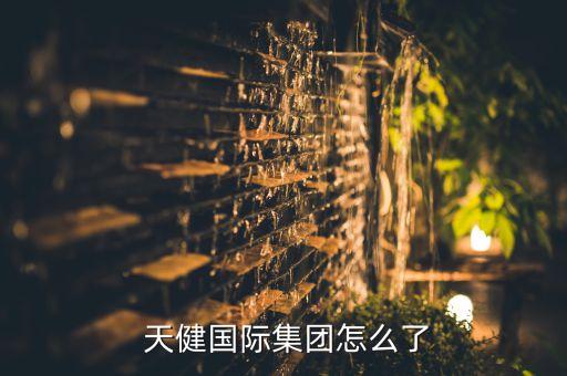  天健國際集團怎么了