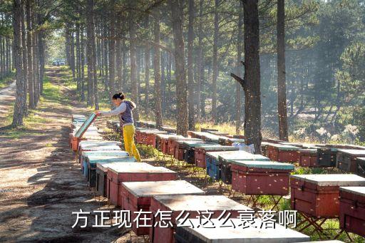 方正集團(tuán)新董事長(zhǎng)