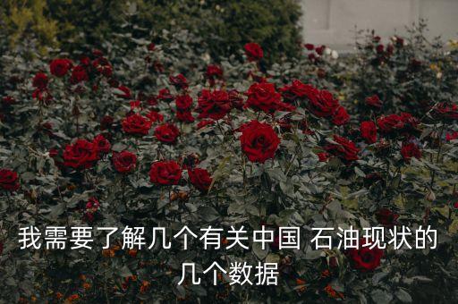 我需要了解幾個有關中國 石油現狀的幾個數據