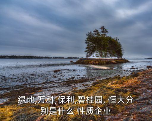 恒大地產(chǎn)集團性質國企,恒大旅游集團是國企嗎