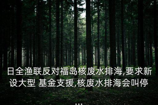 大海洋基金,海洋基金會(huì)李艷干什么的