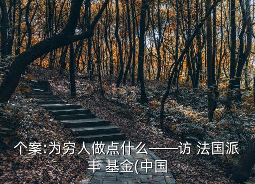 個案:為窮人做點(diǎn)什么——訪 法國派豐 基金(中國
