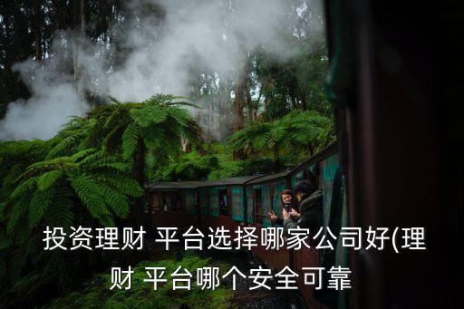  投資理財(cái) 平臺(tái)選擇哪家公司好(理財(cái) 平臺(tái)哪個(gè)安全可靠