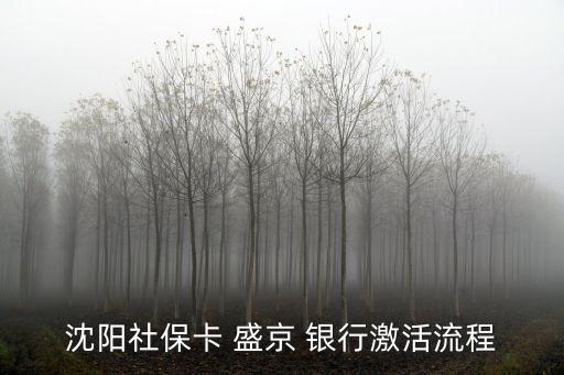 沈陽(yáng)社?？?盛京 銀行激活流程