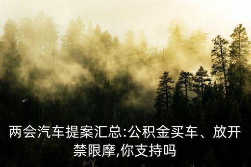 兩會(huì)汽車(chē)提案匯總:公積金買(mǎi)車(chē)、放開(kāi)禁限摩,你支持嗎