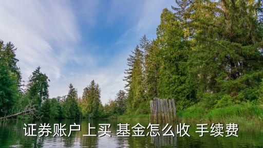 lof基金交易手續(xù)費(fèi),etf基金交易手續(xù)費(fèi)