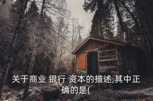 關(guān)于商業(yè) 銀行 資本的描述,其中正確的是(