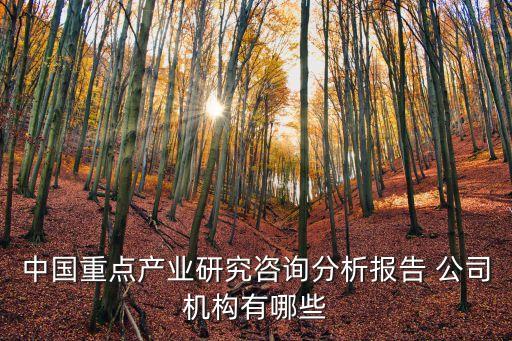 中國重點產(chǎn)業(yè)研究咨詢分析報告 公司機構(gòu)有哪些