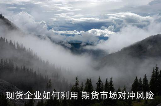 現(xiàn)貨企業(yè)如何利用 期貨市場對沖風險